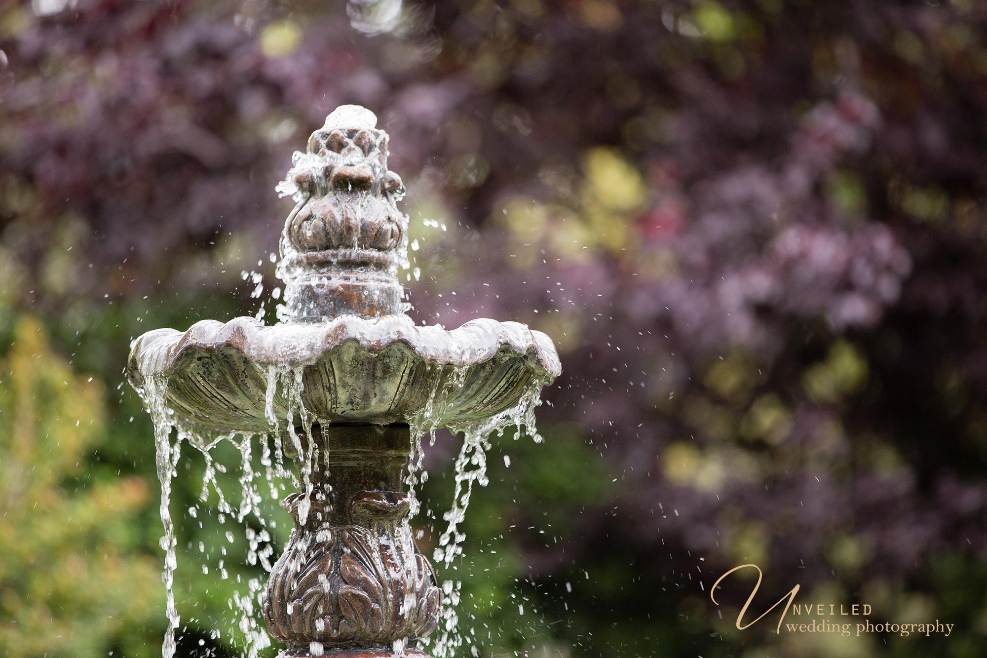 San Diego Wedding Photographer, San Diego Wedding Photography, Twin Oaks Garden Estate, San Marcos Wedding, Wedding Photography San Diego