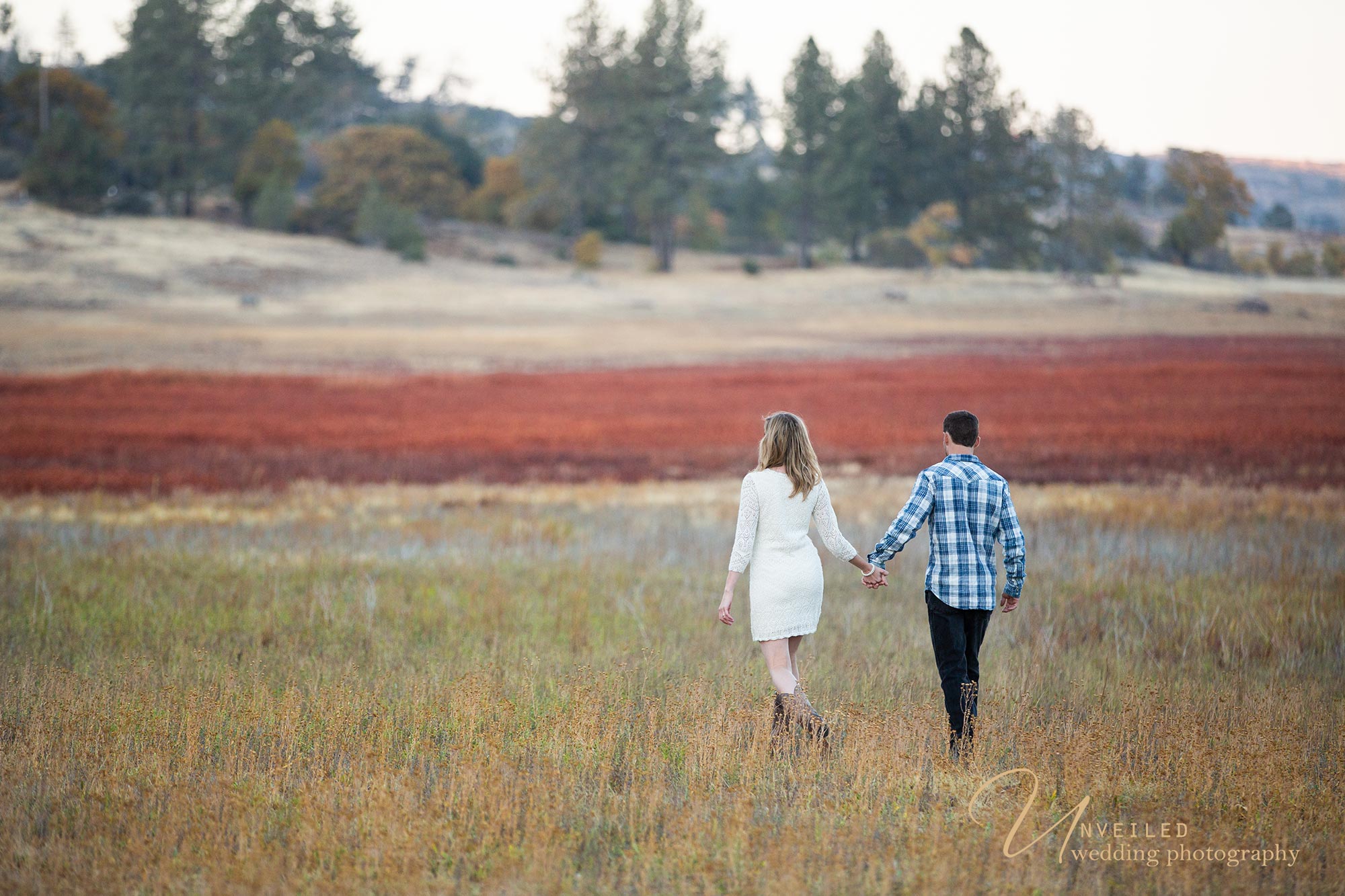 Lake Cuyamaca, San Diego Engagement Photography, San Diego Engagement Photographer, Engagement Photography San Diego, Julian Engagement Sessions