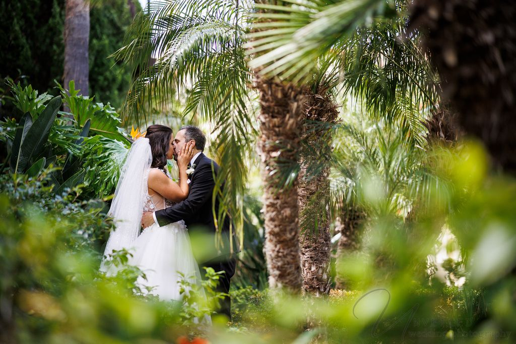 La Jolla Wedding Photographer: Bride and groom kiss among lush tropical palms and greenery.