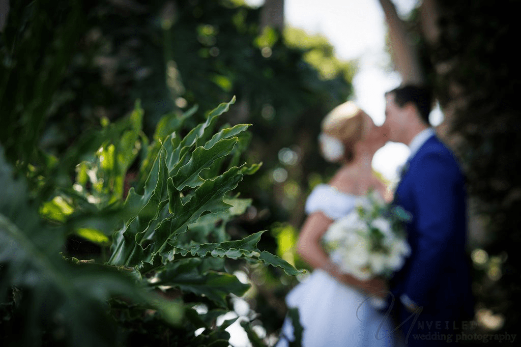 Blurred bride and groom kissing behind green foliage to help you Plan a Dream Wedding.