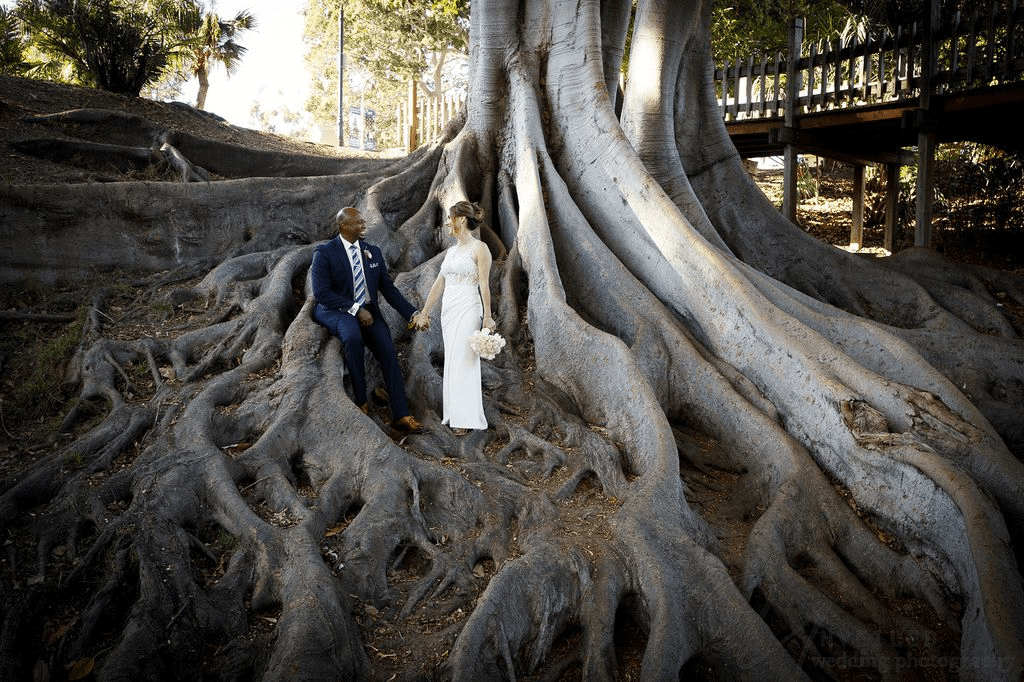 Couple posing by large tree roots for San Diego Courthouse Wedding Photography.