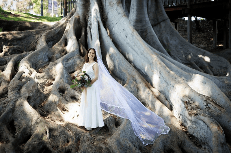 Bride with long veil standing near massive tree roots: multi-day San Diego wedding weekend.